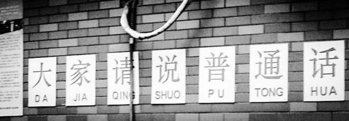 40004213_320033172105274_6906849922172059648_n